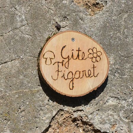 Gite Figaret Saint-Julien-de-la-Nef Kültér fotó